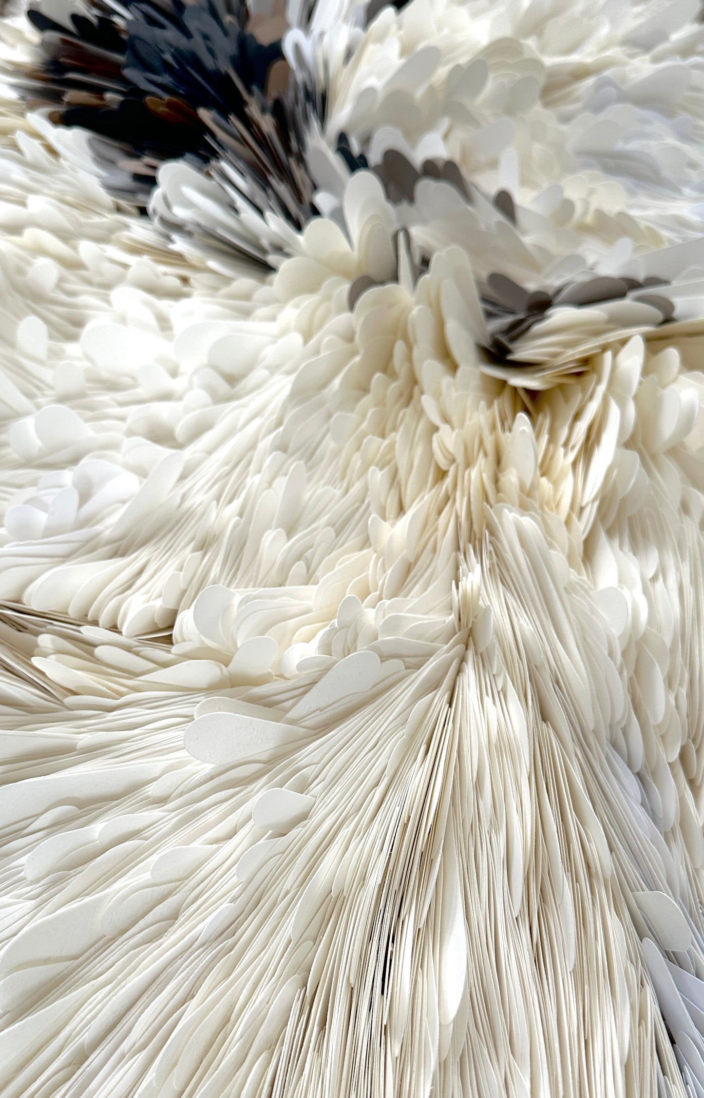 A close-up texture shot of white and cream feather like card stock fins, showing detailed plume structure with subtle gray and black accents. Original art by Artist Tam M Olson