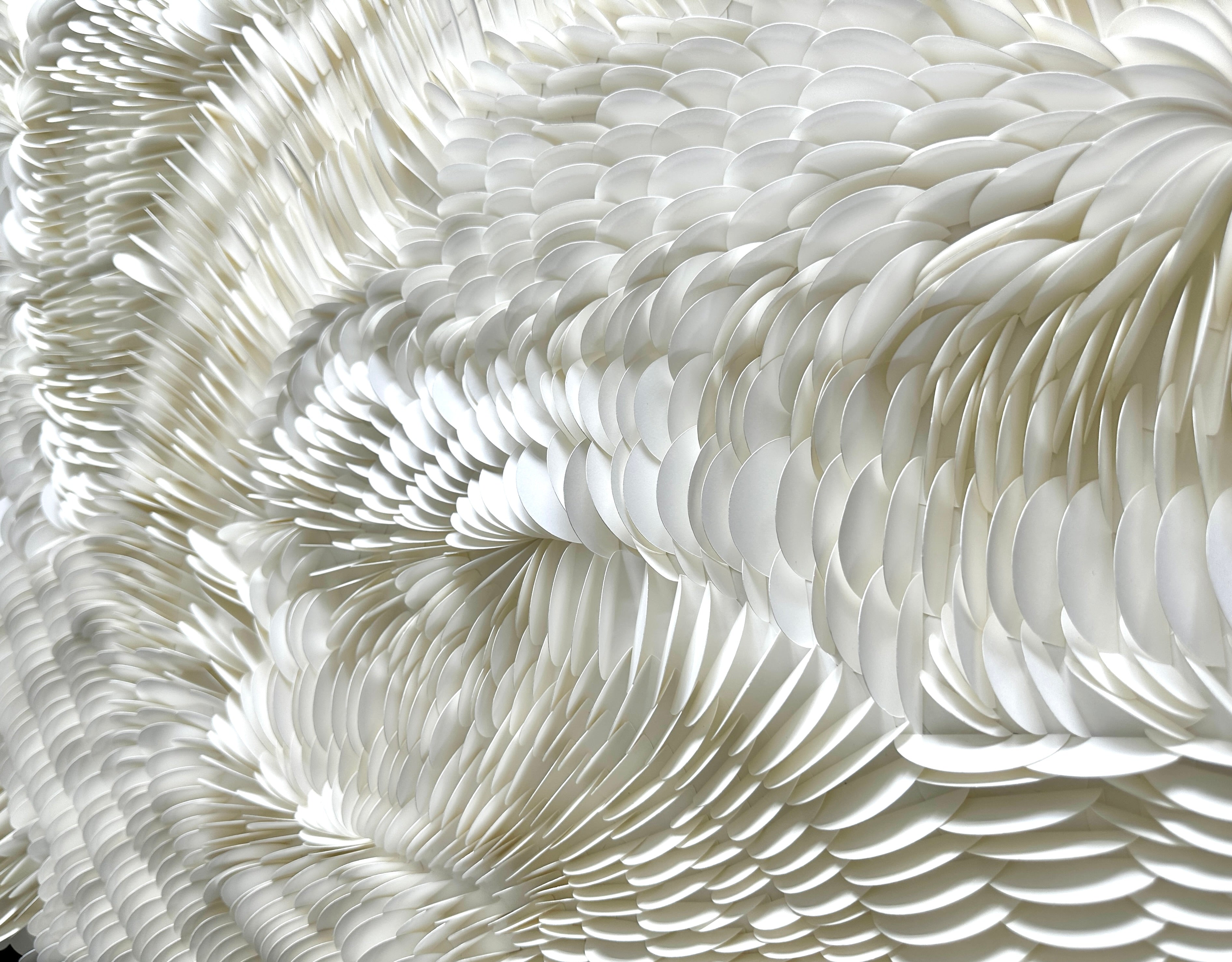 Close-up of a textured white surface with feather-like patterns original abstract art by Tam M Olson