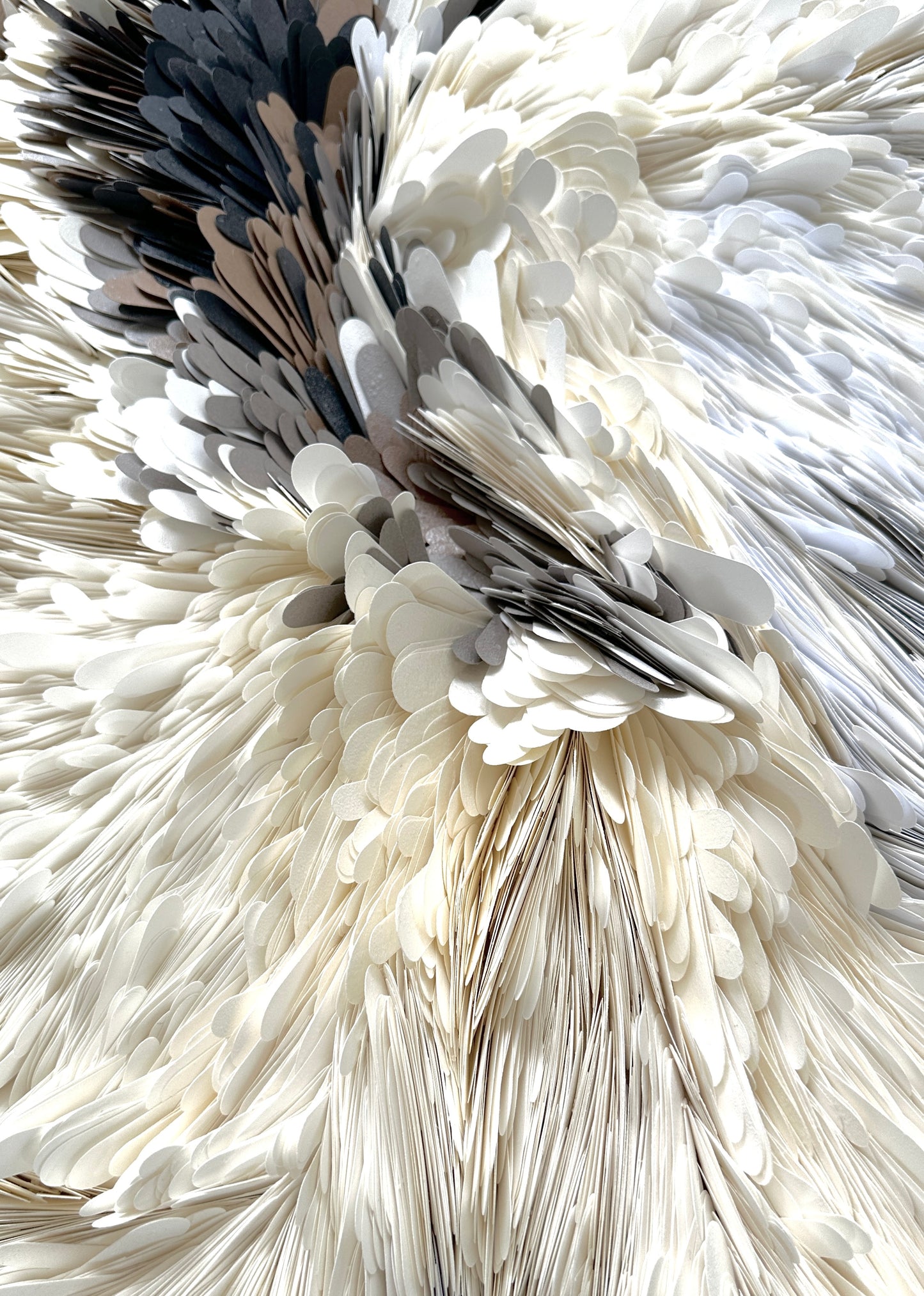 Close-up of layered feather like cardstock art in off-white, cream, gray, and black, filling the frame with a detailed texture. Original artwork by Artist Tam M Olson
